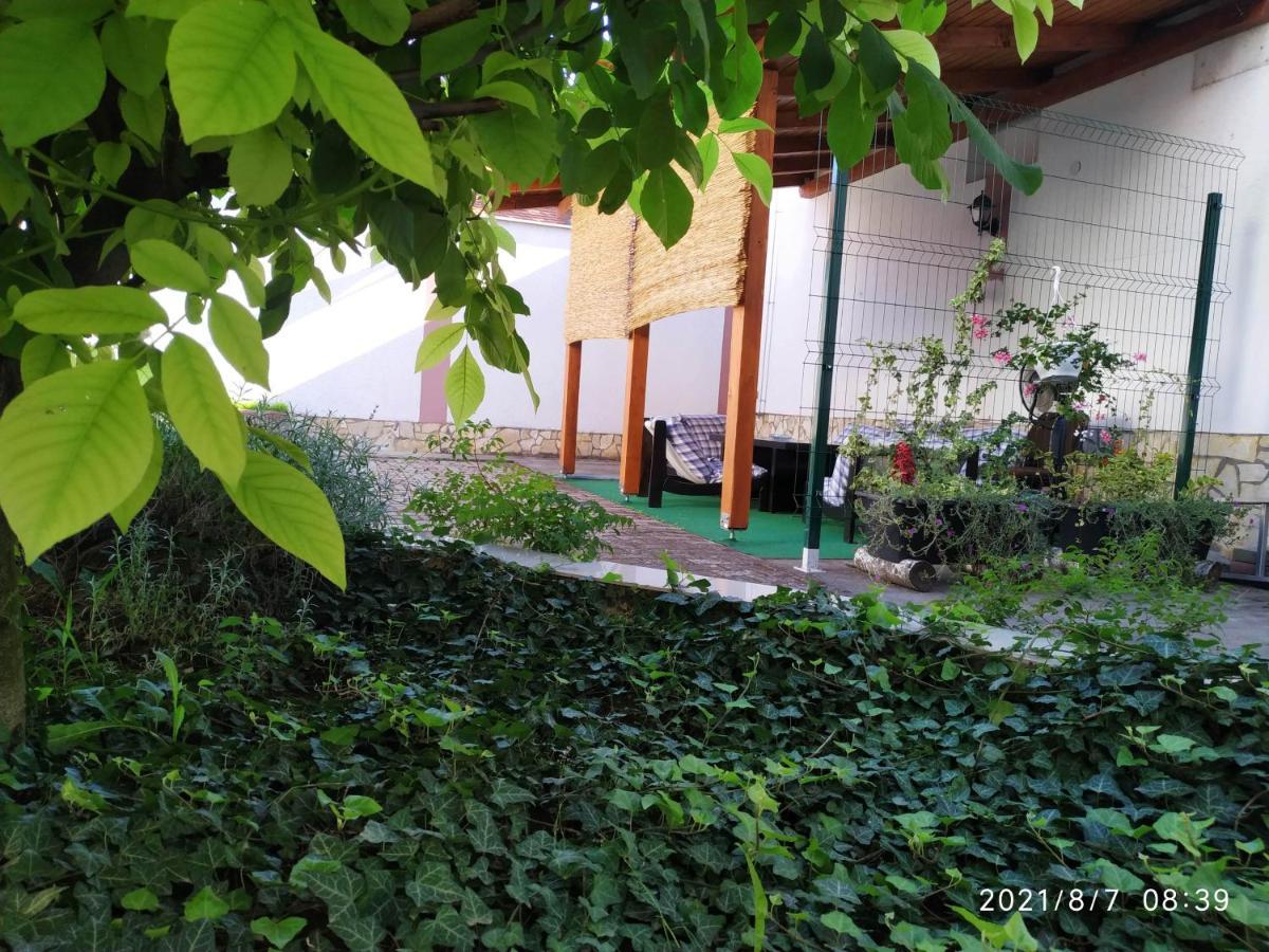 Apartman Tia 奥西耶克 外观 照片